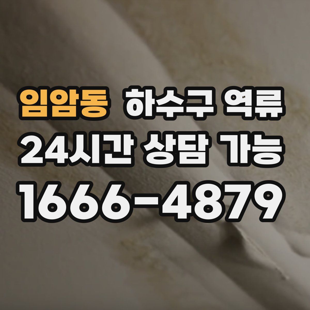 임암동 하수구 역류