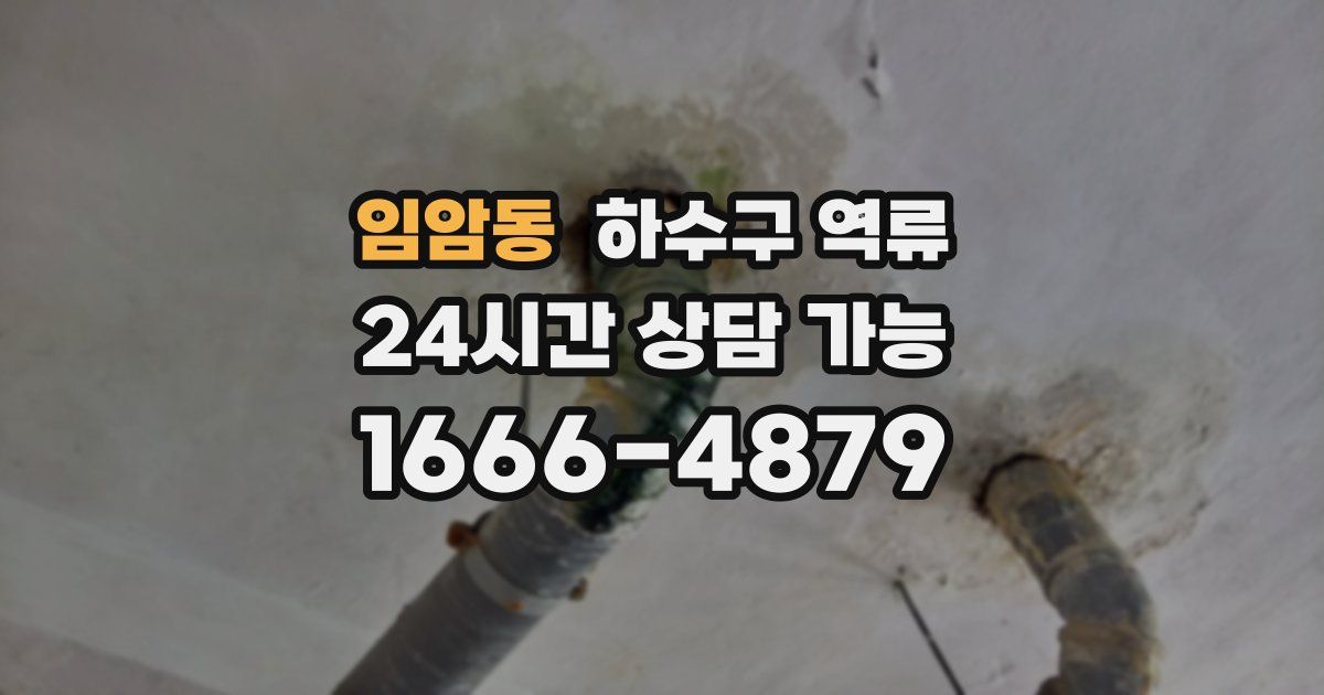 임암동 하수구 역류
