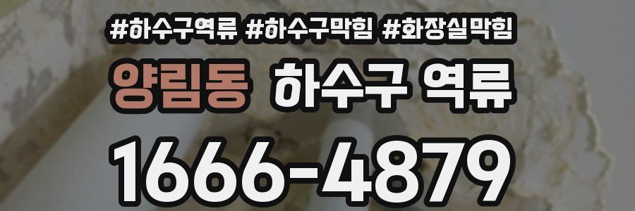 양림동 하수구 역류