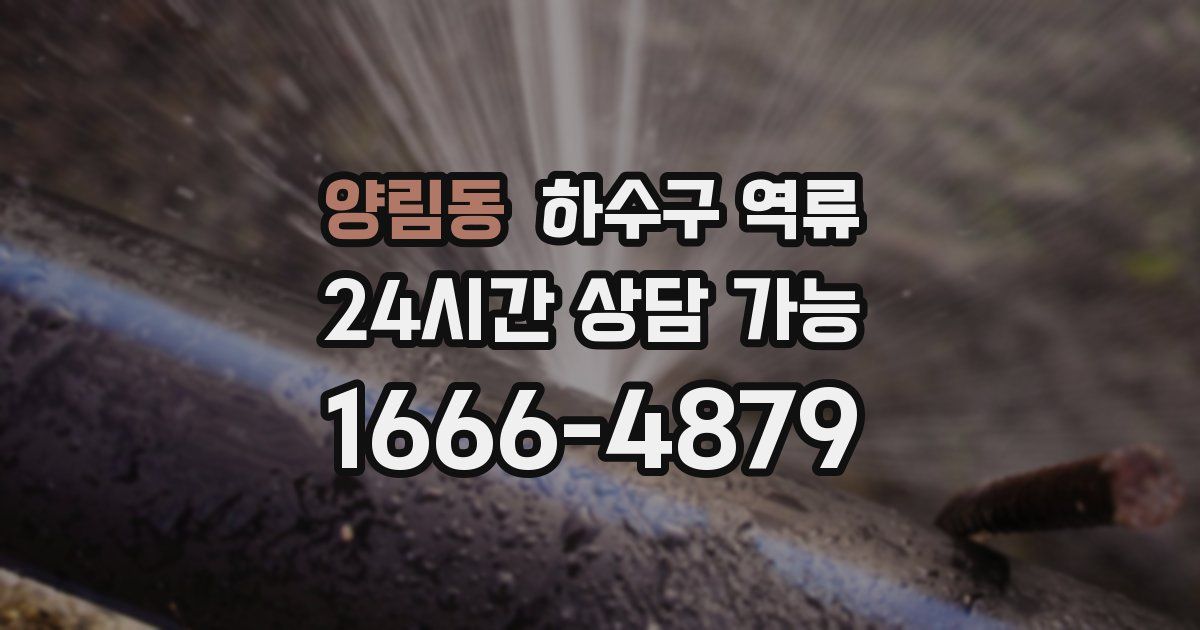 양림동 하수구 역류