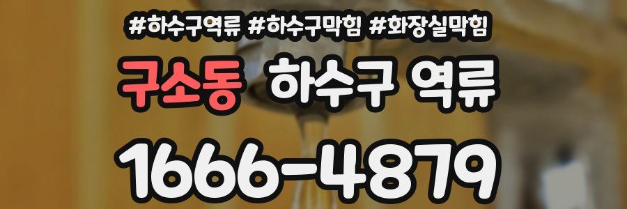 구소동 하수구 역류