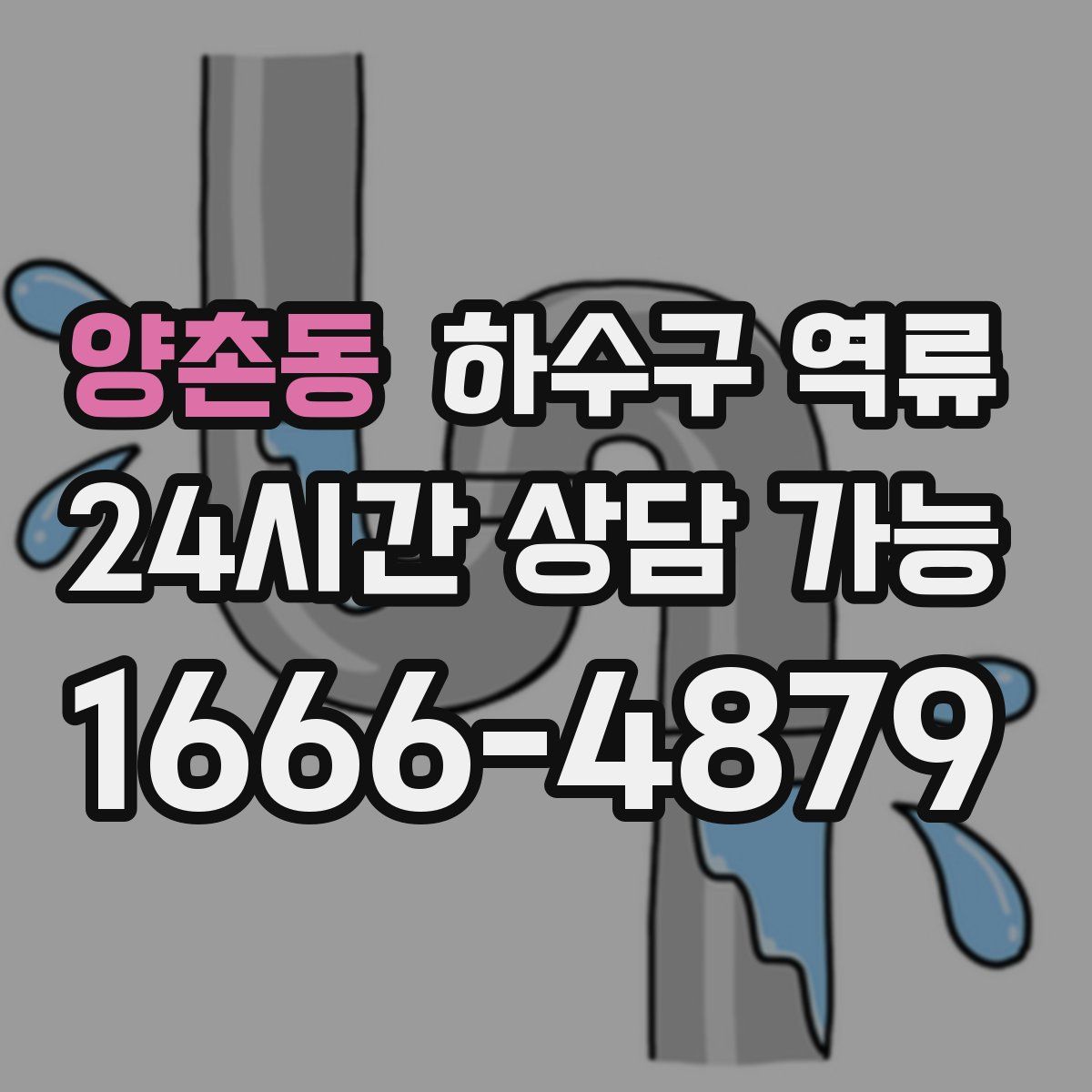 양촌동 하수구 역류