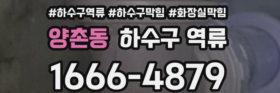 양촌동 하수구 역류