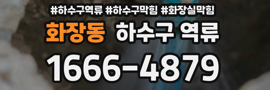 화장동 하수구 역류