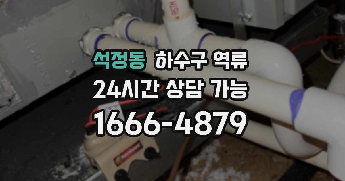 석정동 하수구 역류