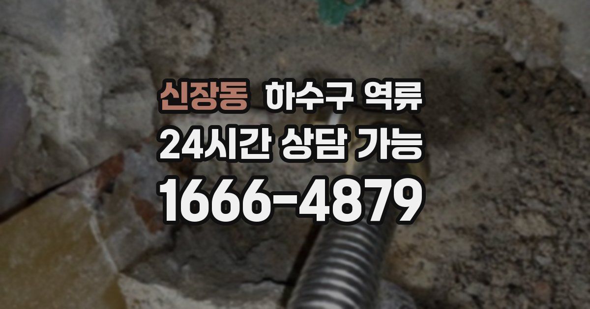 신장동 하수구 역류