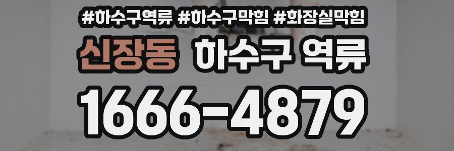 신장동 하수구 역류