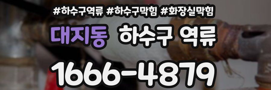 대지동 하수구 역류