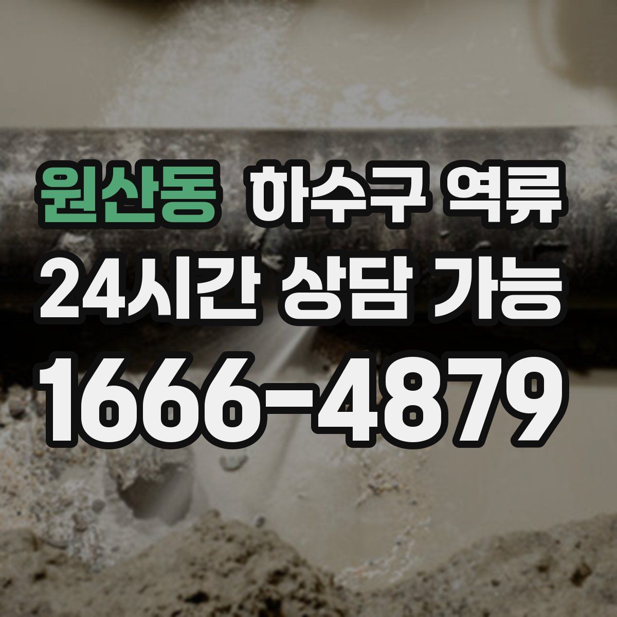 원산동 하수구 역류