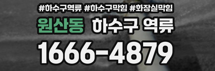 원산동 하수구 역류