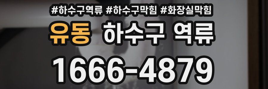 유동 하수구 역류