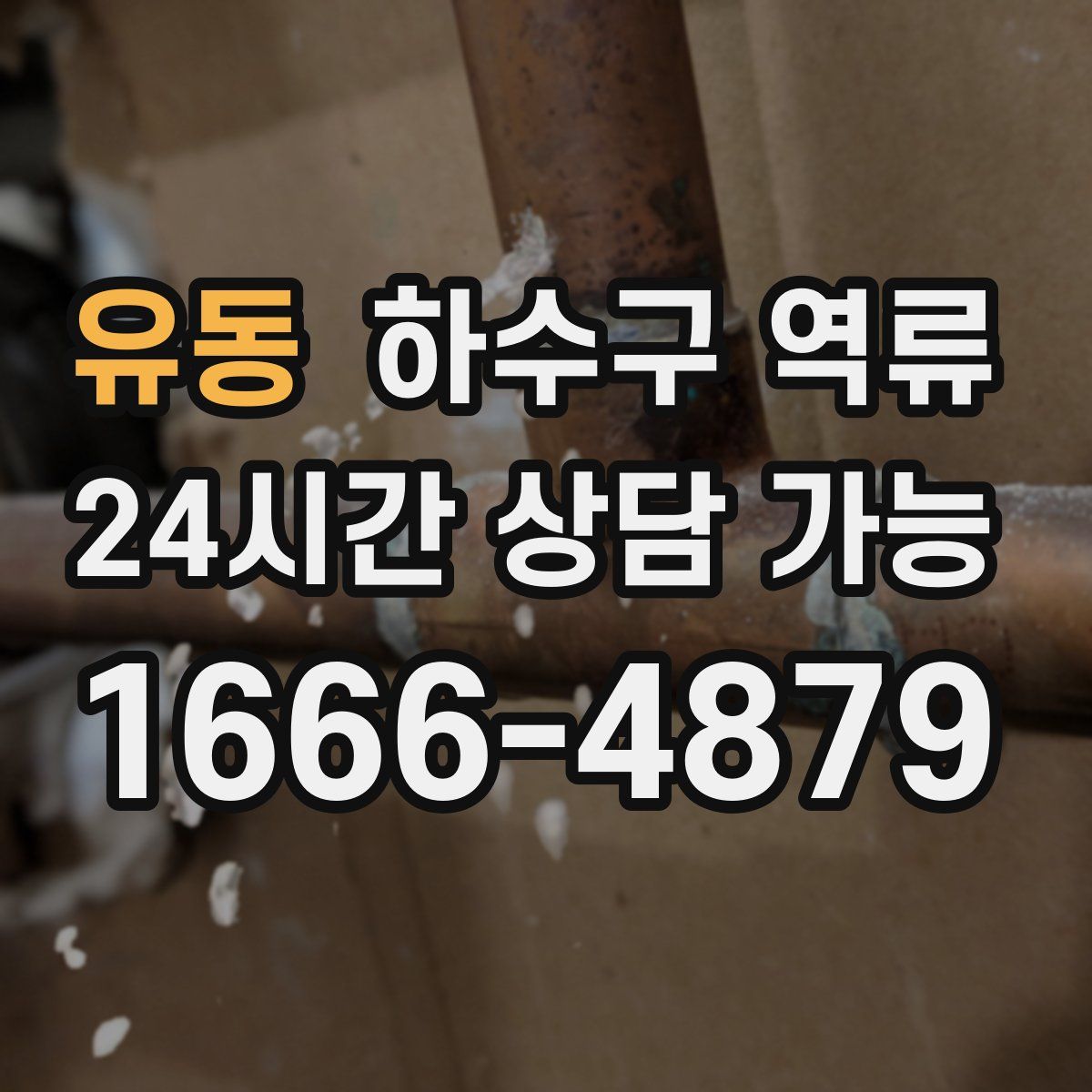 유동 하수구 역류