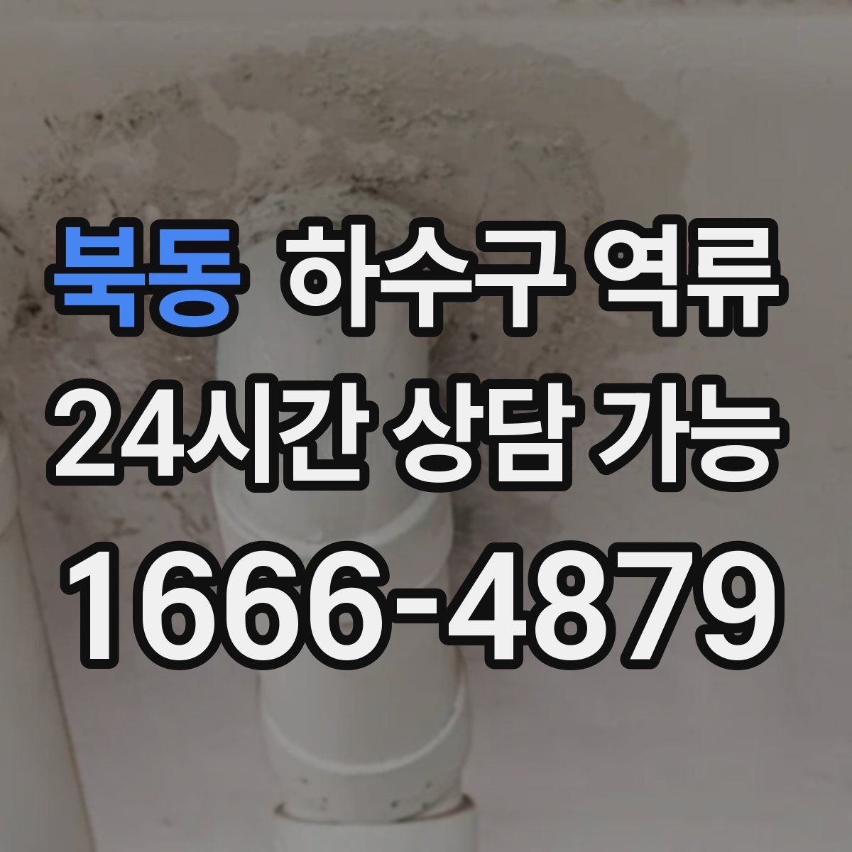 북동 하수구 역류