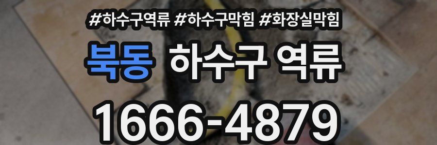 북동 하수구 역류