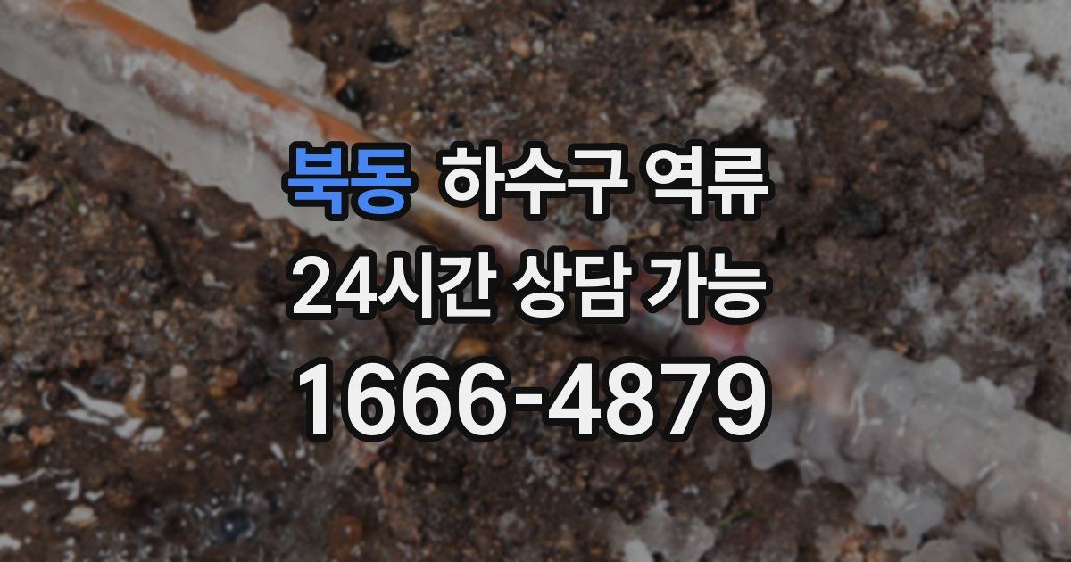 북동 하수구 역류