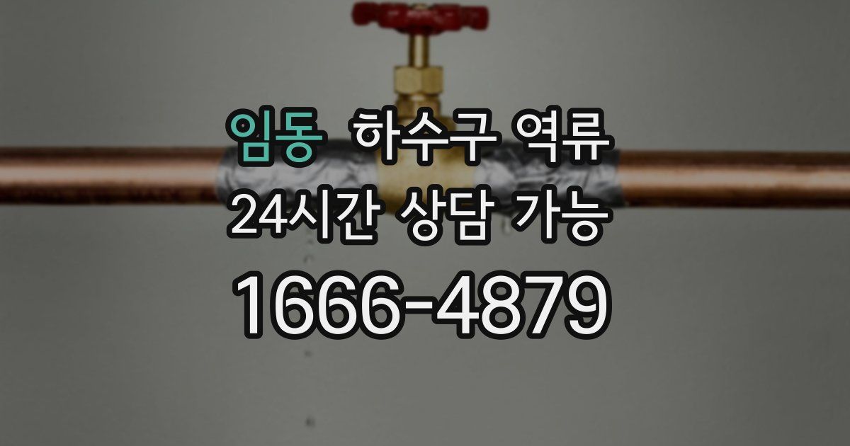 임동 하수구 역류