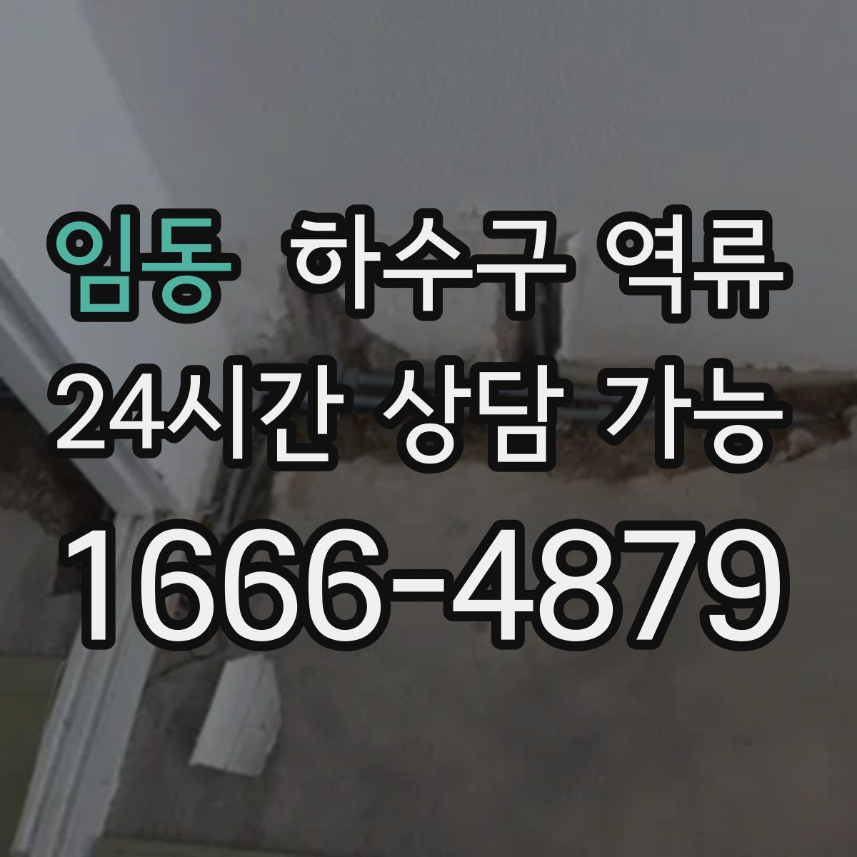 임동 하수구 역류