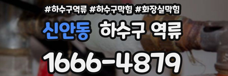 신안동 하수구 역류