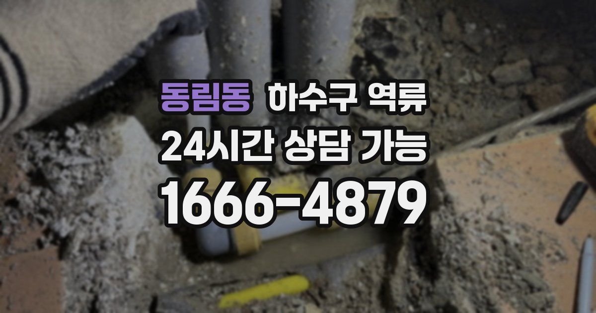 동림동 하수구 역류