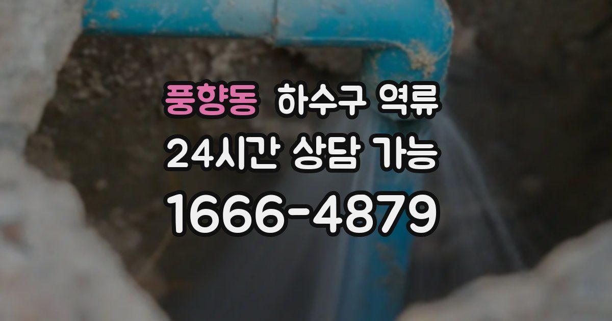 풍향동 하수구 역류