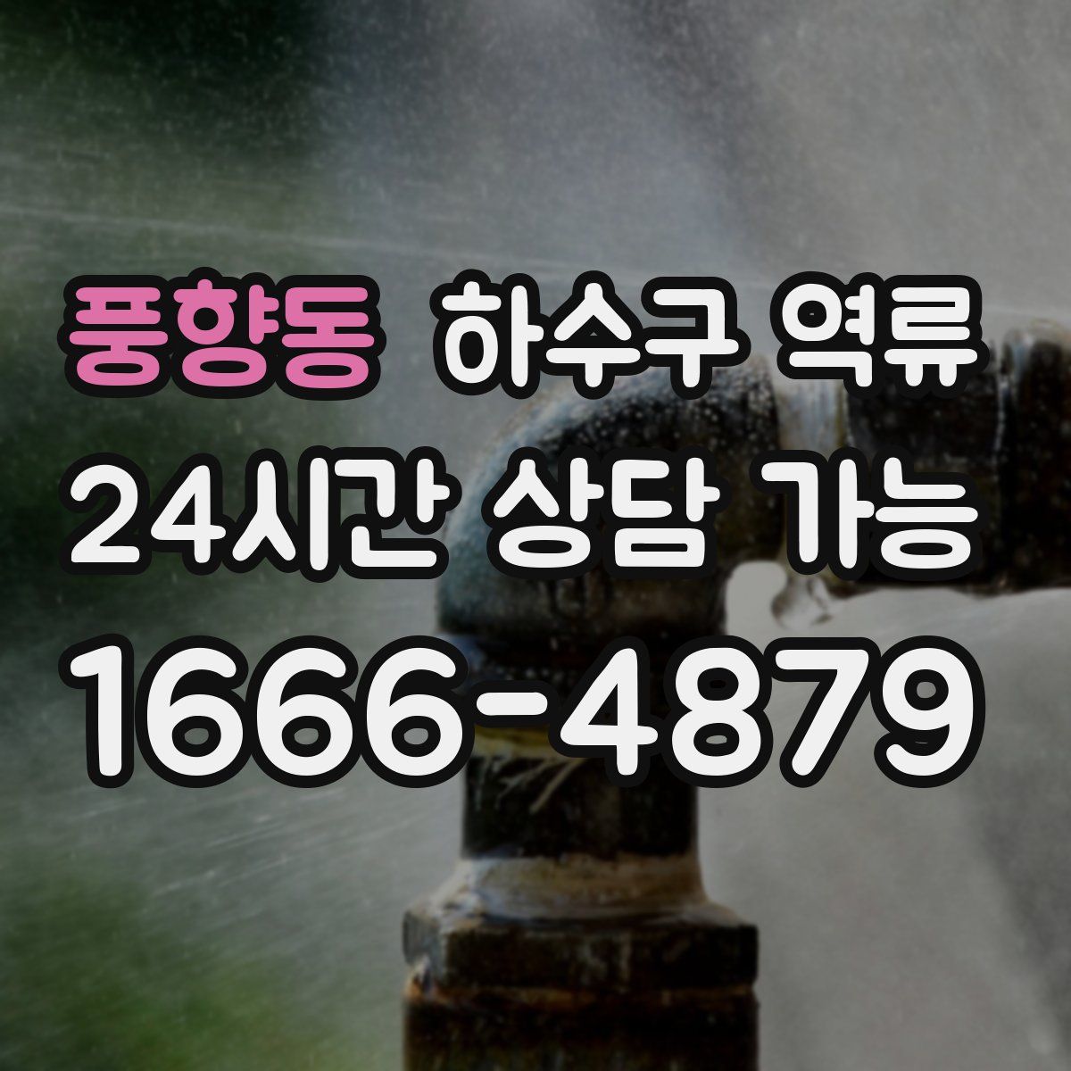 풍향동 하수구 역류