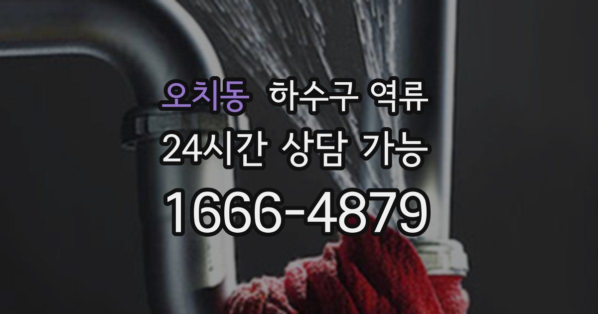 오치동 하수구 역류