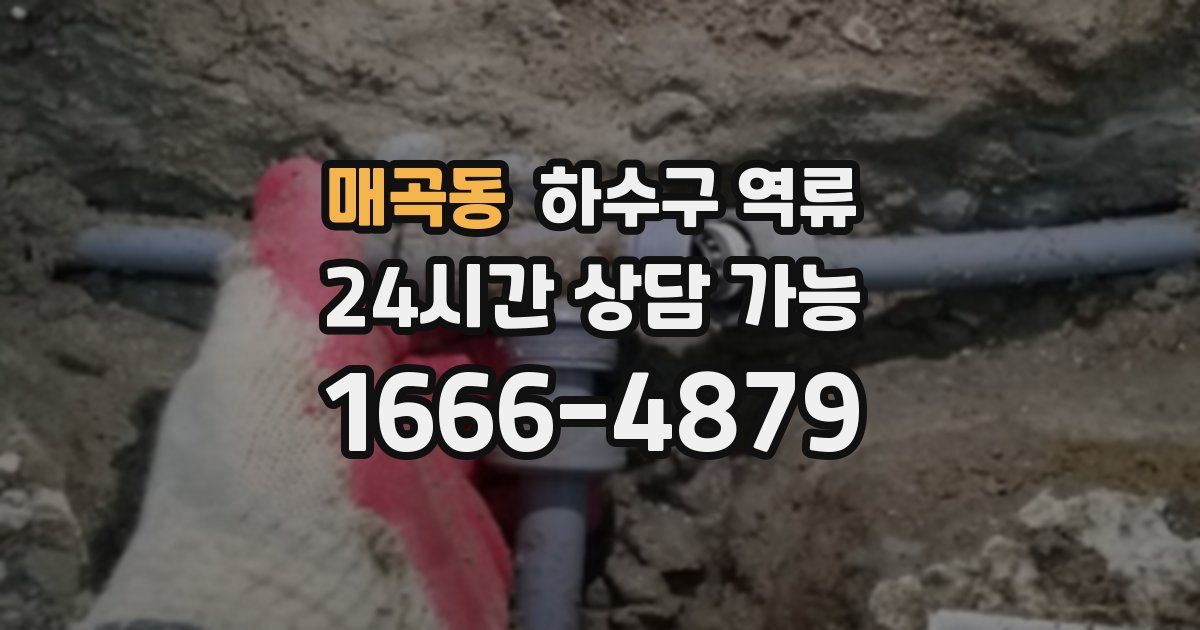 매곡동 하수구 역류