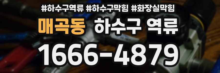 매곡동 하수구 역류