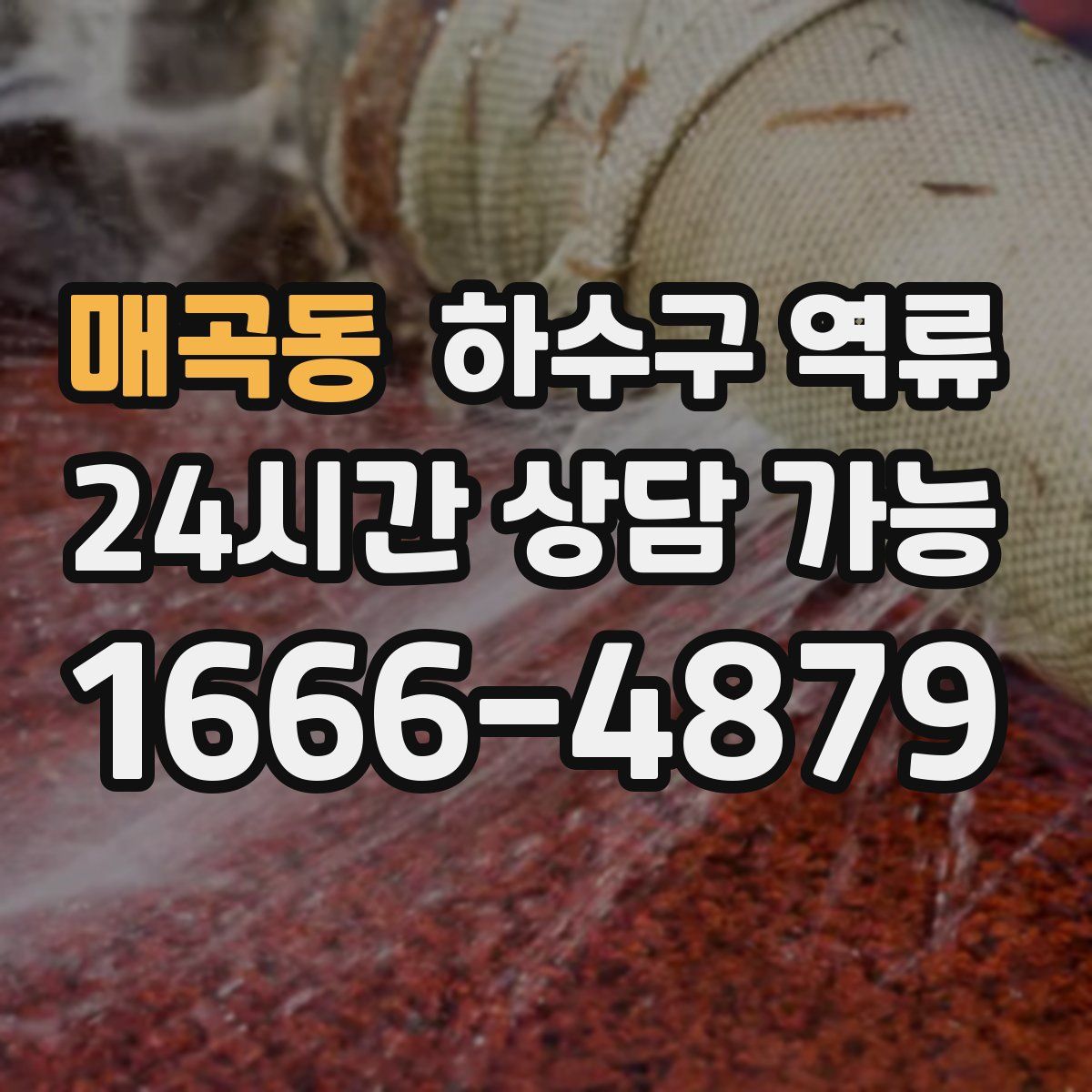 매곡동 하수구 역류