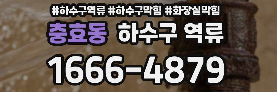 충효동 하수구 역류