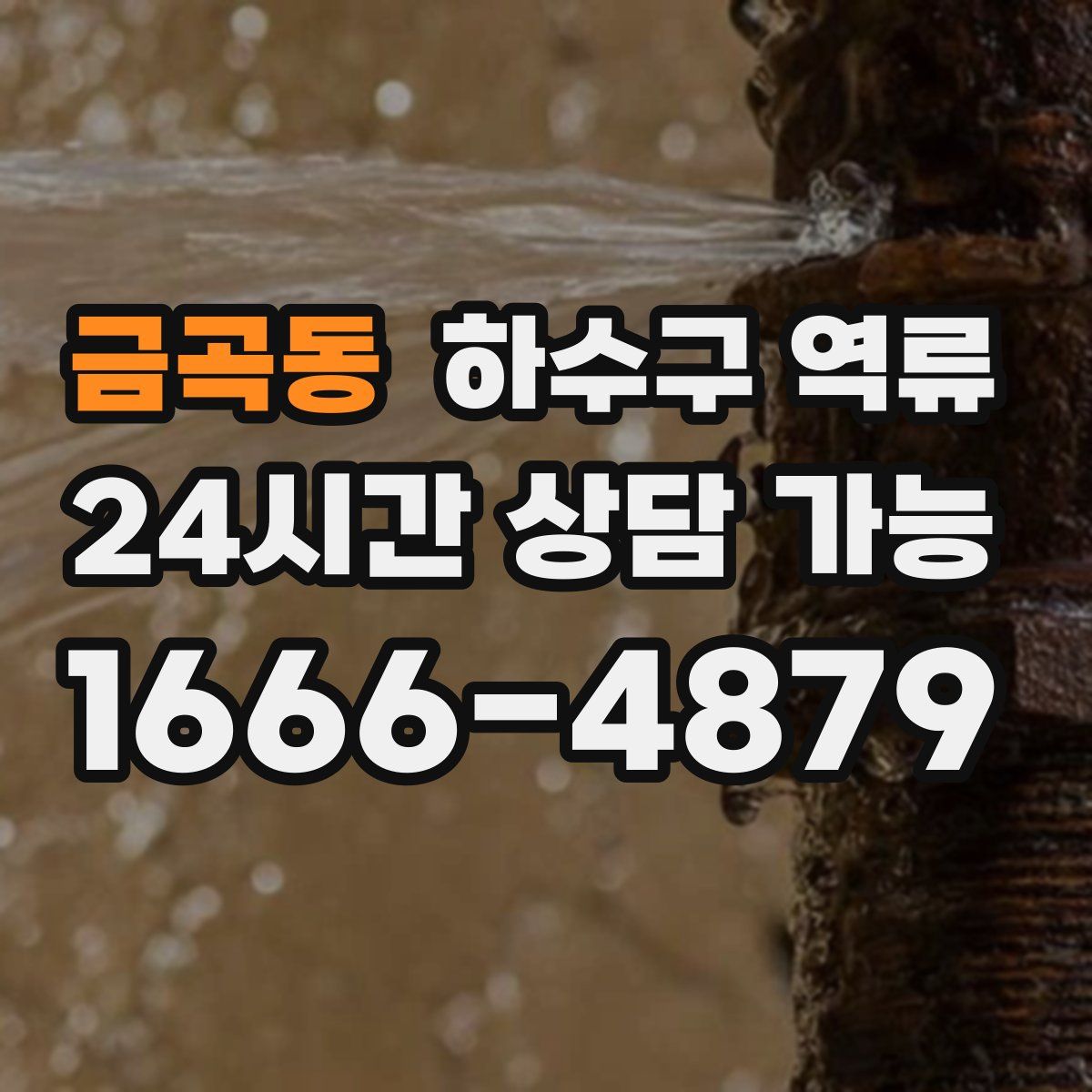 금곡동 하수구 역류