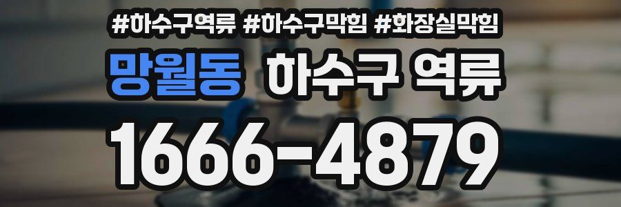 망월동 하수구 역류