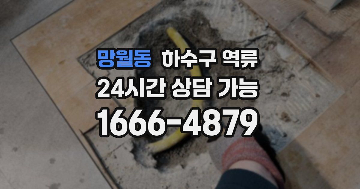 망월동 하수구 역류