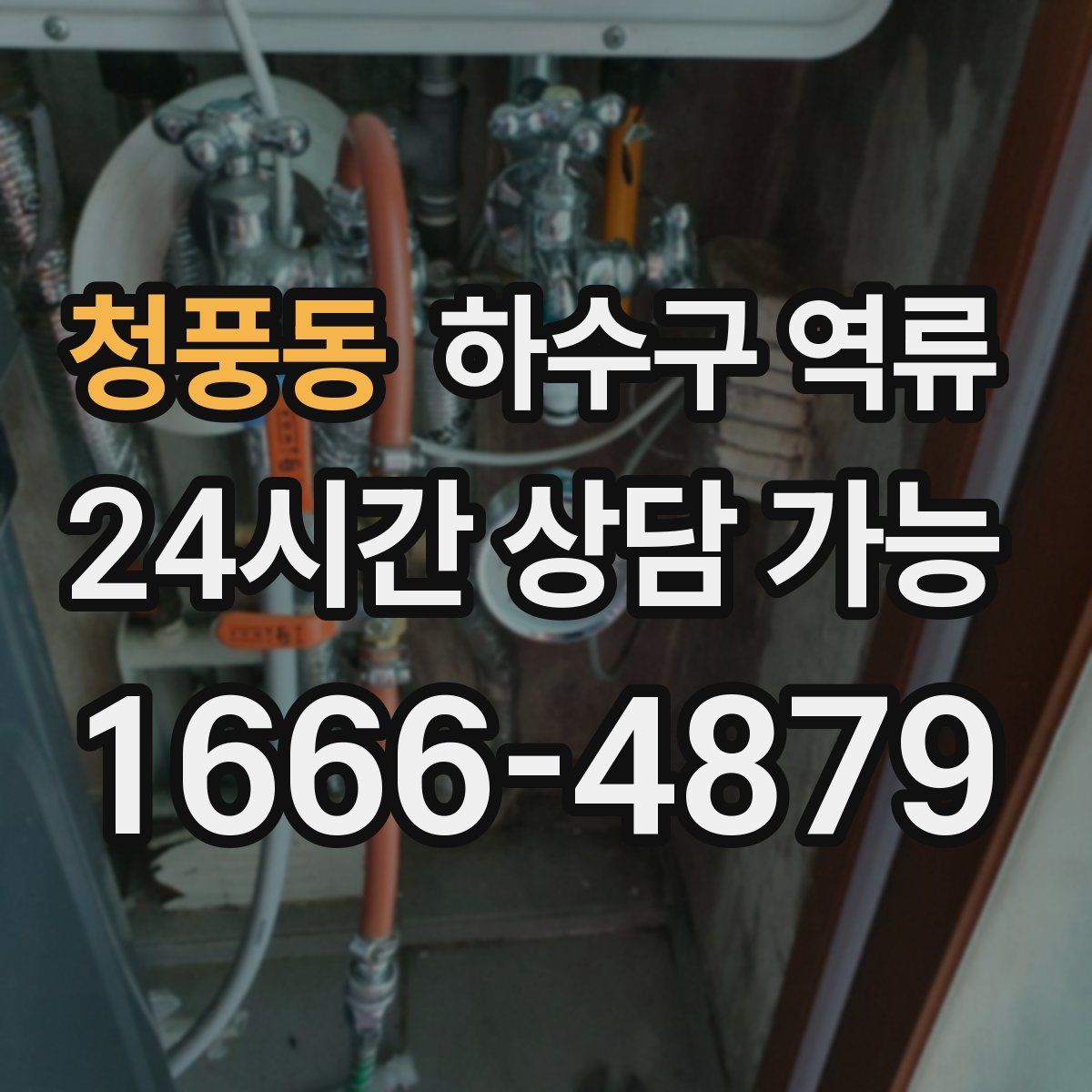 청풍동 하수구 역류