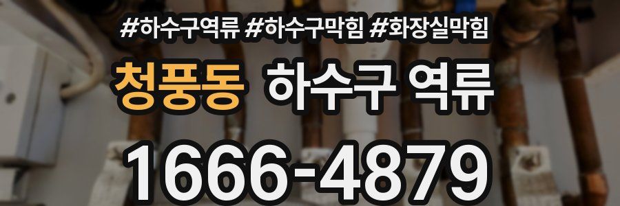 청풍동 하수구 역류