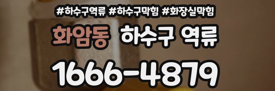 화암동 하수구 역류