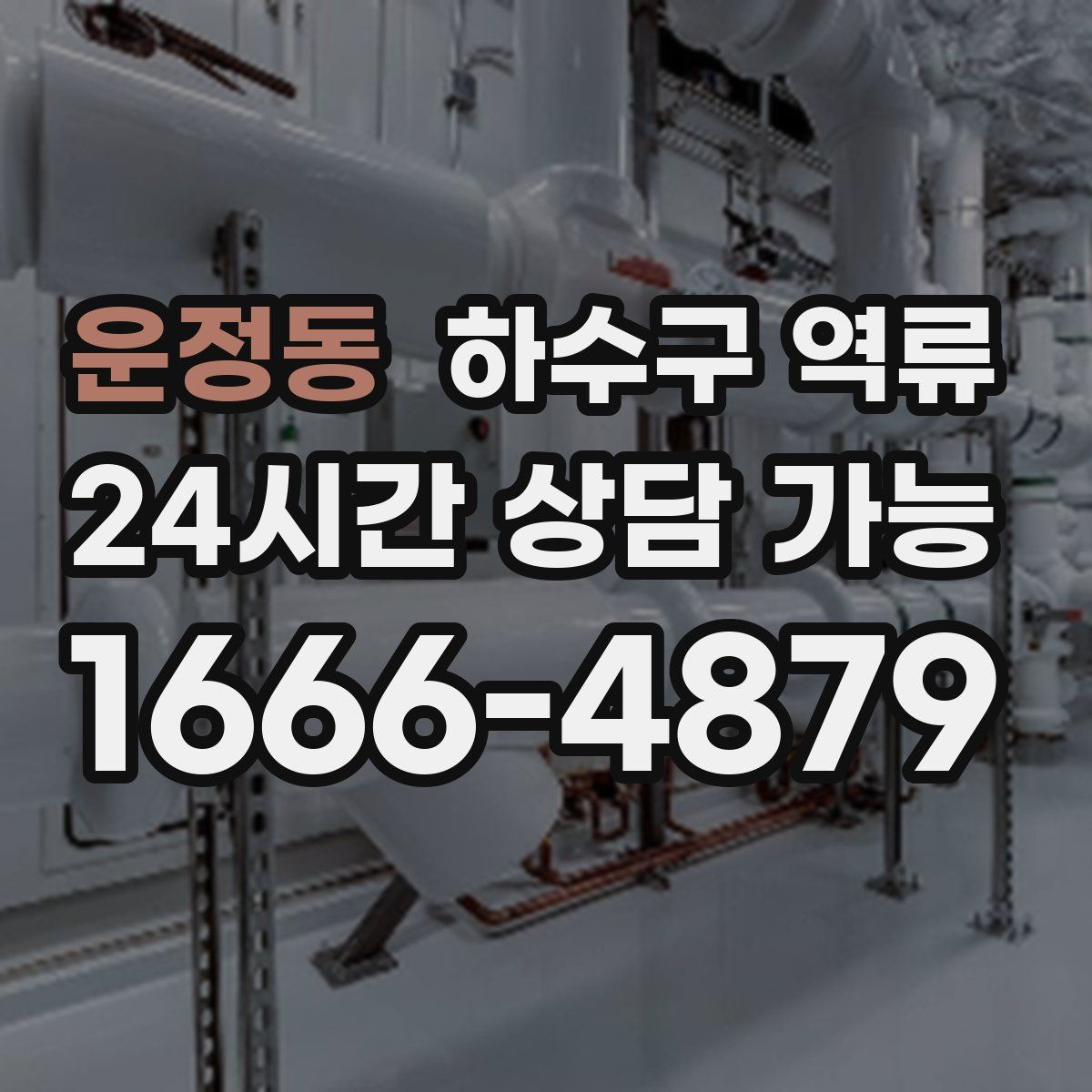 운정동 하수구 역류