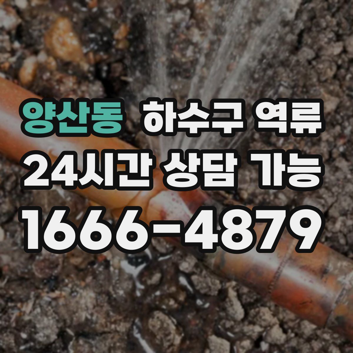 양산동 하수구 역류