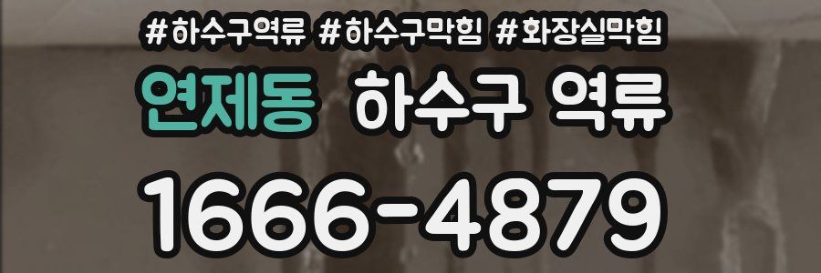 연제동 하수구 역류