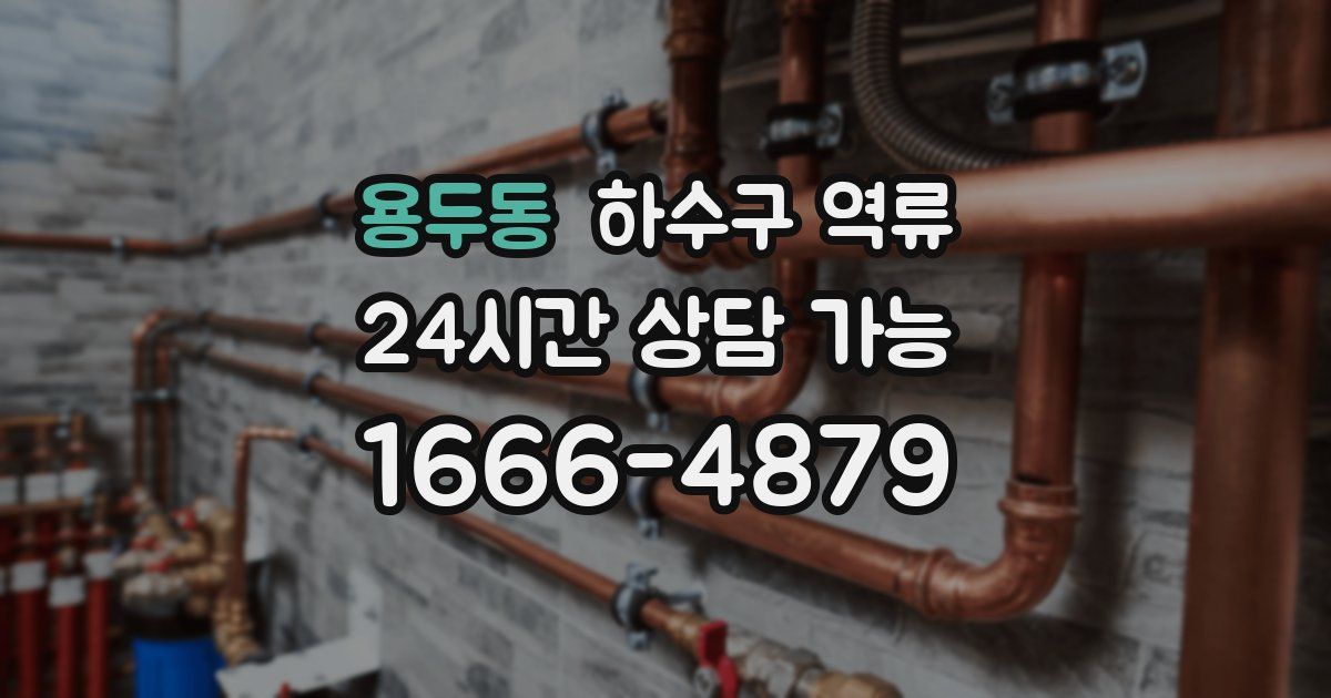 용두동 하수구 역류