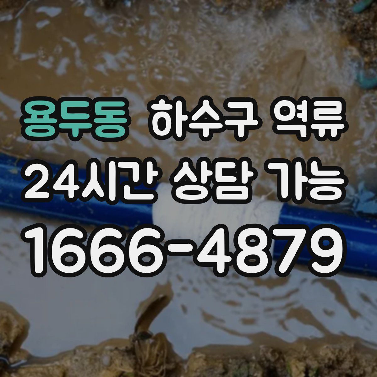 용두동 하수구 역류