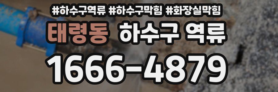 태령동 하수구 역류