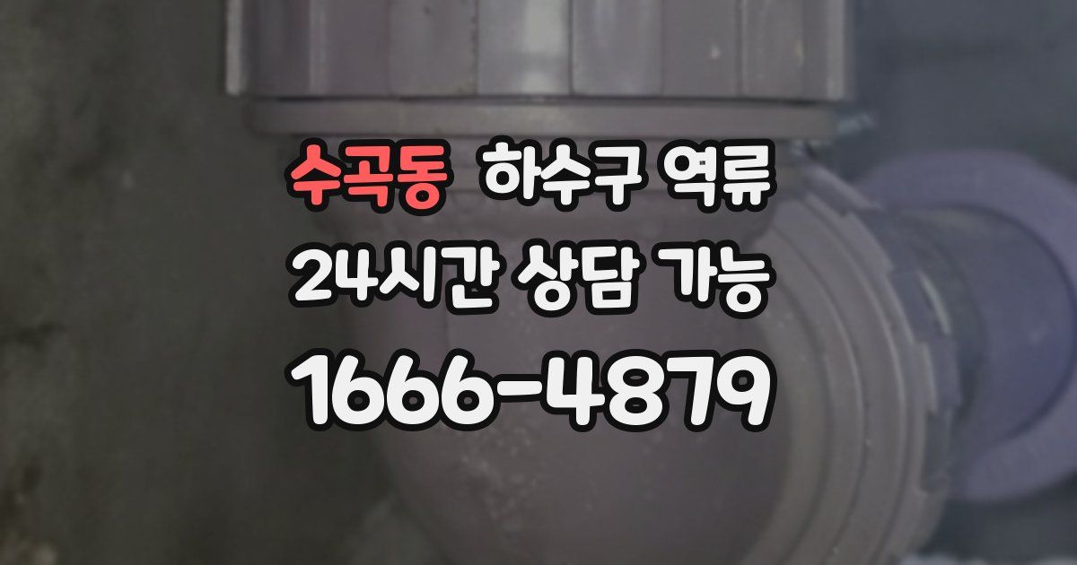 수곡동 하수구 역류