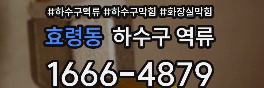 효령동 하수구 역류