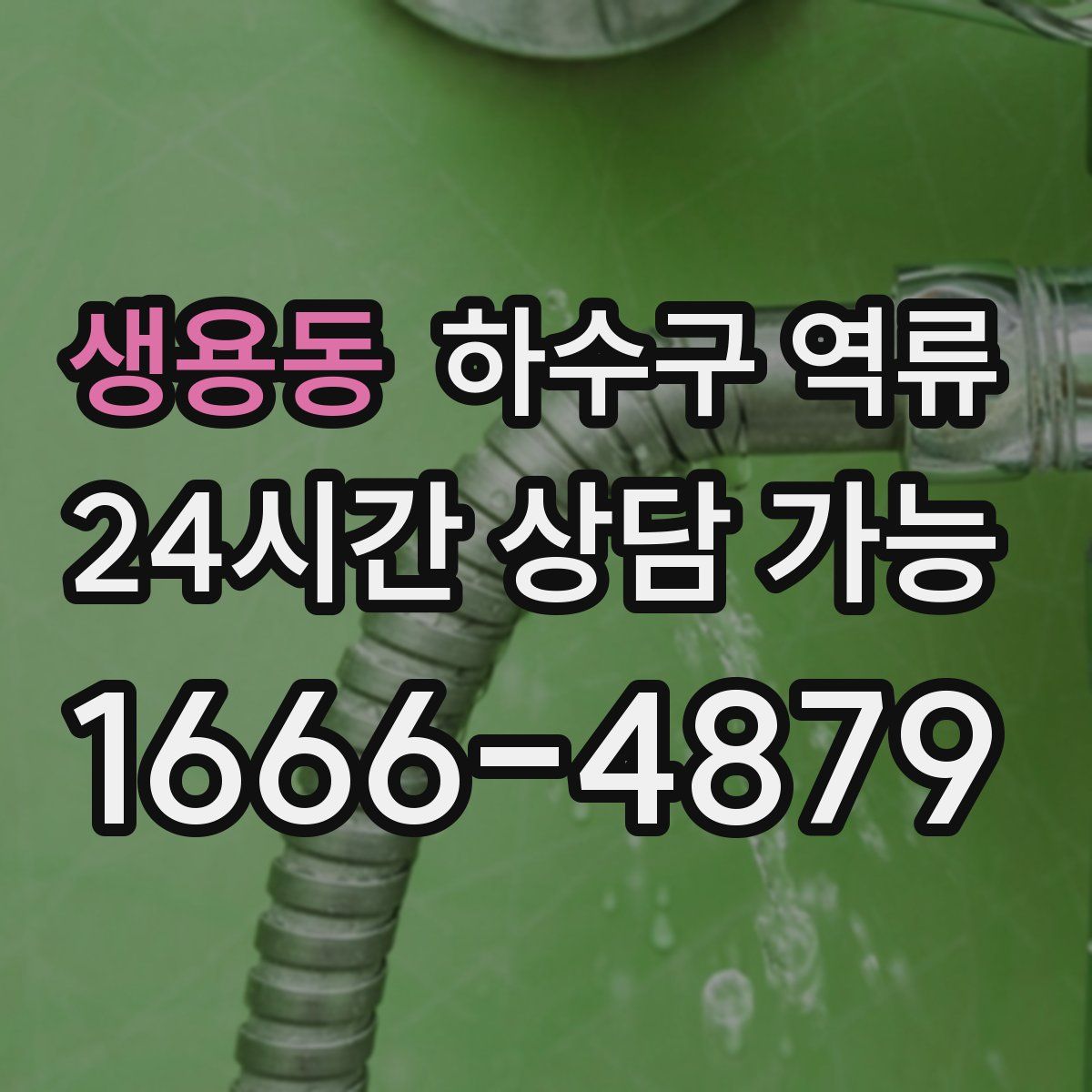 생용동 하수구 역류