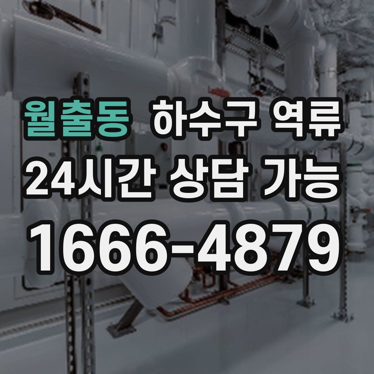 월출동 하수구 역류
