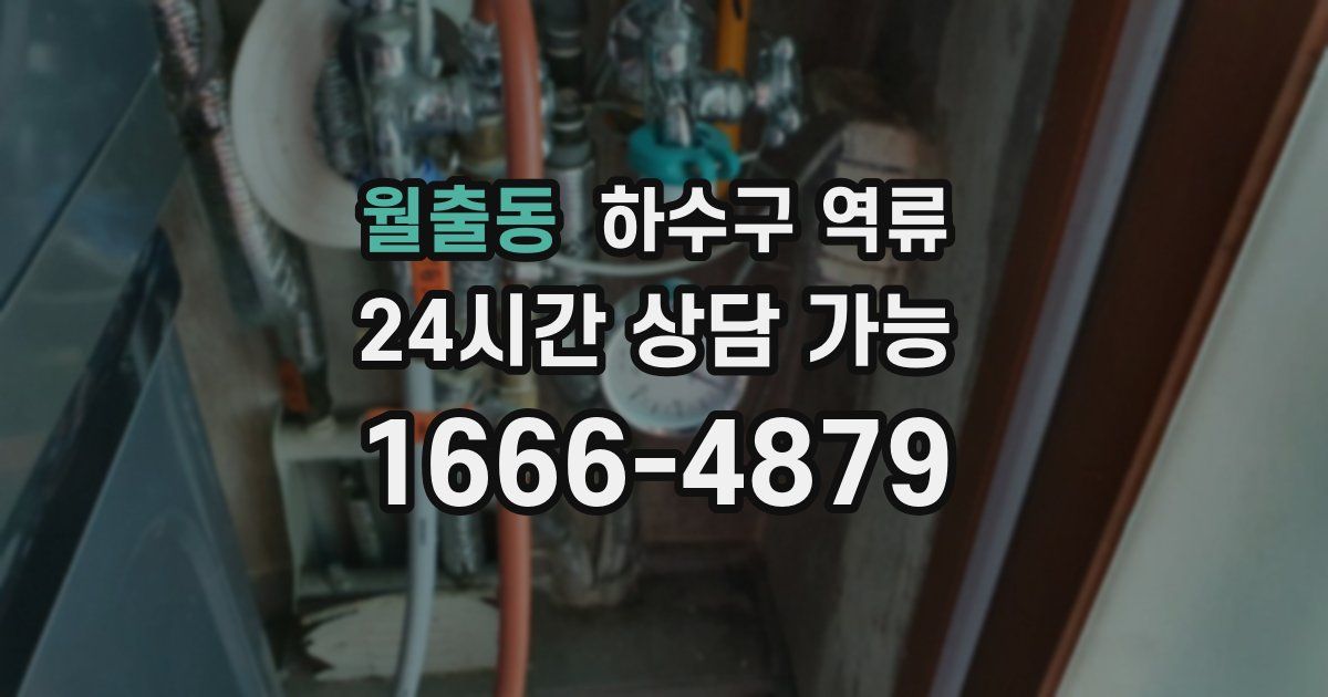 월출동 하수구 역류