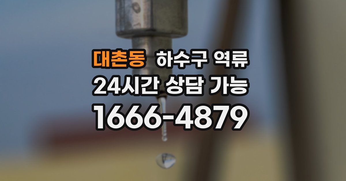 대촌동 하수구 역류