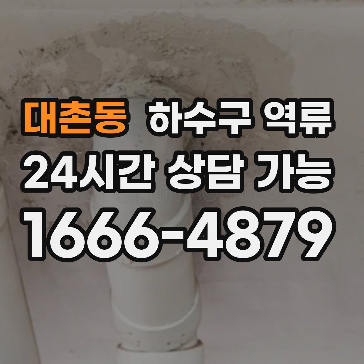 대촌동 하수구 역류