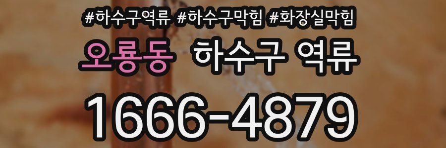 오룡동 하수구 역류